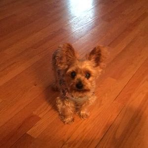 Meet your Posher, Vicki